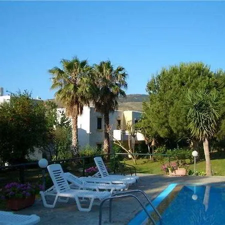 Seagull Psalidi (Kos)