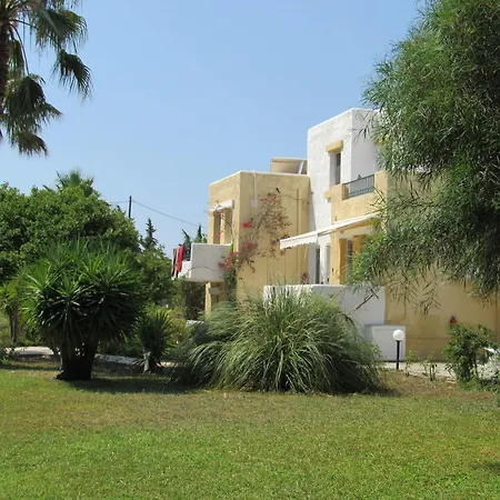 Seagull Psalidi (Kos)