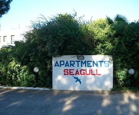 Hotel Seagull Psalidi (Kos)